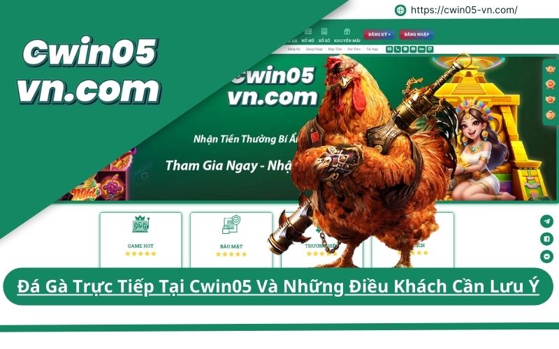 Đá Gà Trực Tiếp Tại Cwin05 Và Những Điều Khách Cần Lưu Ý